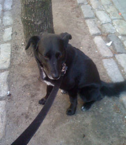 Okay, this is MY tree guys. 