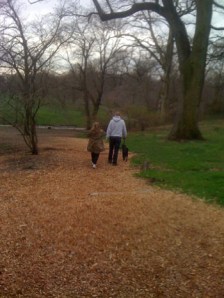 An Unusually Quiet Corner of Prospect Park