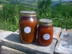 One Jar Apricot Chutney One Jar Apricot Jam  