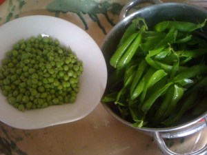 The Little Bowl of Peas from the Bundle of Shells. 