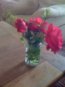 redrose