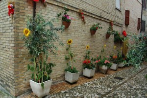 A side street in the town