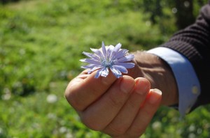 Cornflower..."put this in the ice cube" Lino suggested.