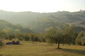 Empty boxes in the field waiting to be filled. Beautiful November day. 