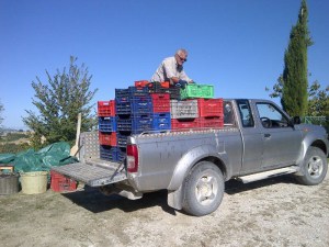 Off to the press with a full load