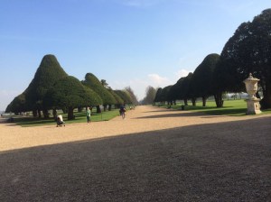 Wide Pathways and Beautiful Trees Hampton Court Palace Gardens