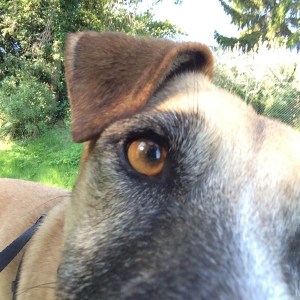 Here's looking at you...Jpeg is still not great at the selfies but better...