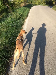 shadow of my former self