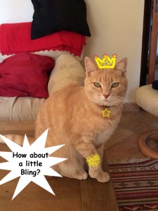 How about a little bling