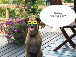 sunglasses and false teeth copy