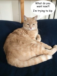 What do you want now