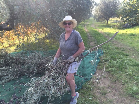 olivespastavinopicking