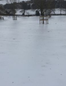 frozen field