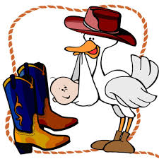 cowboy stork